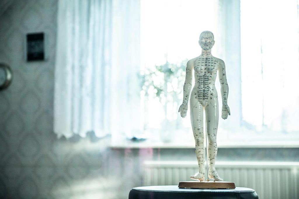 Osteopaat voert een dag in het leven uit met diagnose, manuele behandeling en patiëntenzorg